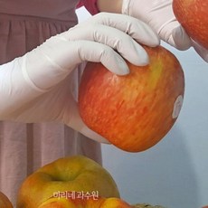 엔비사과 정품 envy 홍로 예산사과 18브릭스 소포장 2kg 맛있는사과 중과 시나노골드