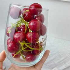 체리모형