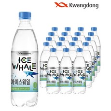 광동 아이스웨일 탄산음료 샤인머스캣, 40개, 500ml