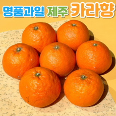 제주카라향 못난이 귤 가정용 혼합과 카라향 3kg 5kg 10kg, 가정용 혼합과 3kg