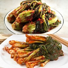 기타 [3대째 손맛] 여수돌산갓김치1kg+파김치1kg, 2kg, 1개