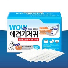 유아견 배변불량 대소변 흡수 일자패드 x12 애견팬티, 1개