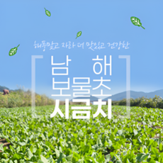 [산지직송]보물초 시금치 1차손질 남해 (설1/21주문마감), 1개, 2kg