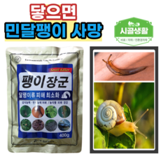 딸기밭난방기