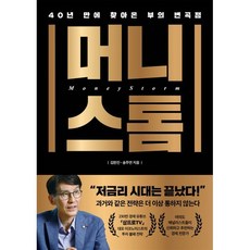 머니스톰:40년 만에 찾아온 부의 변곡점, 페이지2북스, 김한진, 송주연