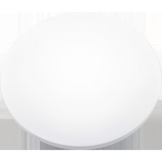OSRAM 歐司朗 LED 無閃爍圓形燈 60W, 單色