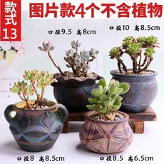 7e13cd2c5fe88acc32e6189f6384931a806d8ad19fc5c70dd4a86ae26979.jpg