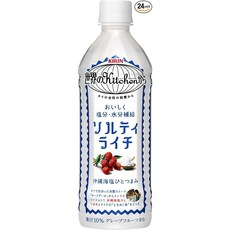 기린 세계의 Kitchen에서 솔티라이치 500ml PET×24개, 24개