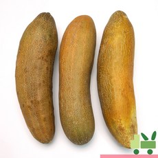 사라상회 노각 (늙은오이) 5Kg (상)