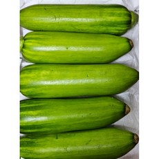 애호박 국내산 20개입 상급 특급 국산애호박, 40개, 특급 5kg