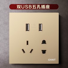 푸시스위치 6T 샴페인 골드다 오공 일련 단 통제함 많다 패널 티비 컴퓨터가 있다 벽, 샴페인 골드다 이련 USB 소켓 21