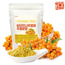 갑당약초 비타민나무열매파우더(분말) 실속형, 2개, 150g