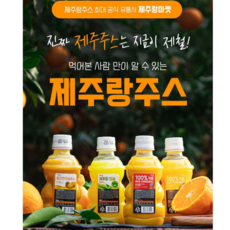 제주랑 청귤 착즙 주스 직영 총판, 10개, 320ml