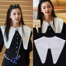 분리형칼라레이스