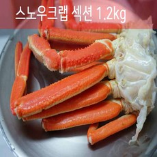 머드크랩