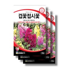 고슬딸기 TOP01