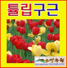 e8ded5f6bb83510b76311f26e929a89f047e4693c6d6f0a3764418becd0a.png
