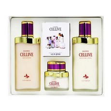 쵸이스셀테라피