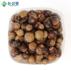 23년 햇 국산 상수리 열매 1kg 도토리, 상수리열매 1kg, 1개