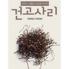 자연산고사리