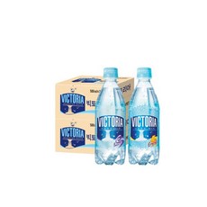 천연탄산수제조기