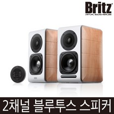 브리츠br2100s