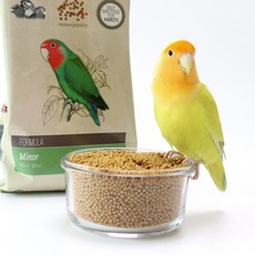 피타쿠스마이너