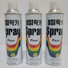 dsi락카
