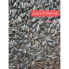 [신중국식품] 햇 볶음해바라기씨. 간식. 견과류 꽈절 2022년산 햇해씨, 1개, 1kg