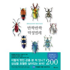 반짝반짝 딱정벌레, 유나