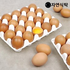 자연식탁 무항생제 HACCP 신선한 계란 왕란 특란 20구 40구 1판, 1개