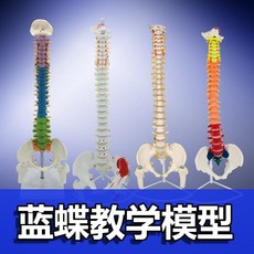 f68040a1c10876ae9a2e140d41c698b5623156912170861fa6a0eef67b40.jpg