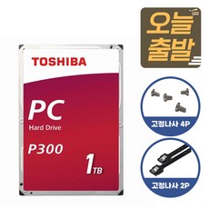 도시바 P300 3.5인치 HDD 하드디스크 데스크탑용+사은품 포함, HDWD110 1TB - 도시바x300