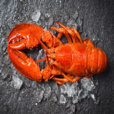 자숙랍스터 홈쇼핑랍스터 냉동랍스터 2미 3미 약1kg 이상, 2마리[약1kg], 1개