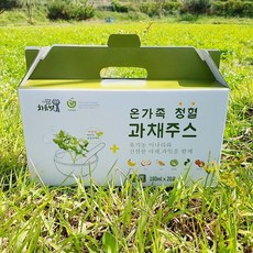 청혈 과채 주스 과일 야채 건강 쥬스 20포 가이아, 100ml