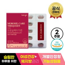 라헨느더퀸티스타일