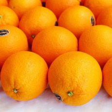 고당도 블랙라벨 오렌지 3kg 5kg 10kg 17kg, 1box, [02] 오렌지 3kg 11과내외(대과)