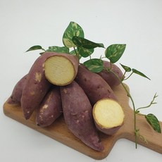 스테비아감자