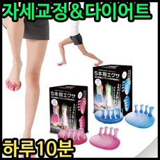 아이윙스 32000 밸런스톤 엑사 발지압 다이어트슬리퍼 바디패치 슬리퍼 다이어트 샌달 지압 발안마 안마 스트레칭 마사지 발지압 발마사지