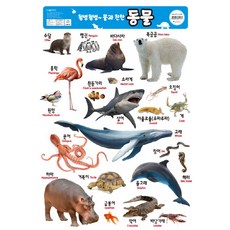 꾸러기물고기네집