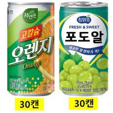 참맑은 포도알 175ml(30캔) + 고칼슘오렌지캔 180ml(30캔), 60개, 175ml