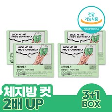 칼로비스 날씬할소다 샤인머스캣맛 3+1box (2개월분) 가르시니아 9중 기능성 발포비타민, 4개, 10정
