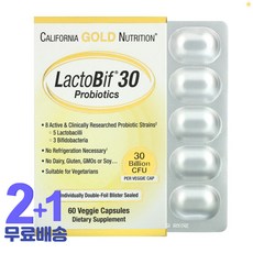 cgn락토비프유산균