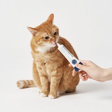 프로젝트21 비오덴트 오랄겔 구강 치약 40g 330799, [26%↓] 1개 (1개월분), 1개