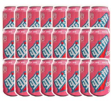 천천중국식품 아시아 리치 사이다, 24개, 330ml