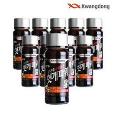 광동 헛개파워 100mlx10병(10병), 10개, 100ml