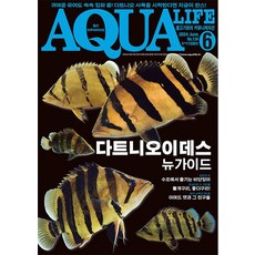 2024년 아쿠아라이프 6월호 [다트니오이데스 뉴가이드], 단품, 단품