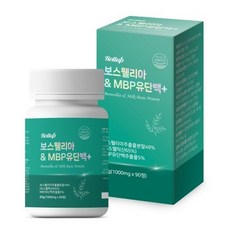 바인웰니스 보스웰리아 MBP 유단백 1000mg 90정 2개