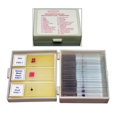 현미경프레파라트