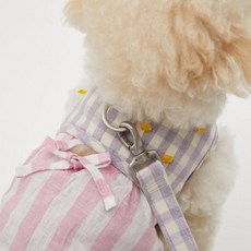 루이독 로즈피치&라일락 하네스 Set